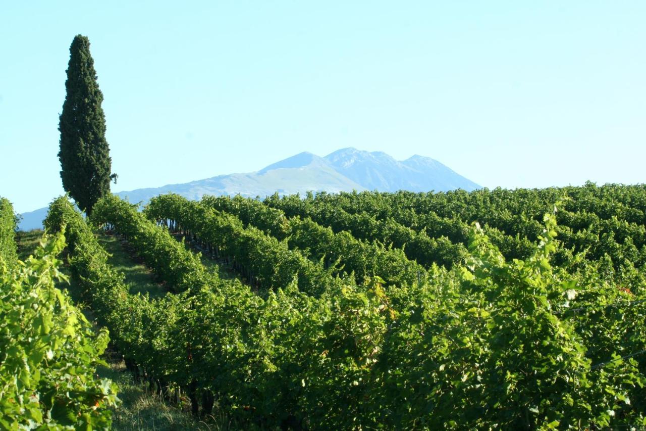 Ca Donzella Bed and Breakfast Lazise Buitenkant foto